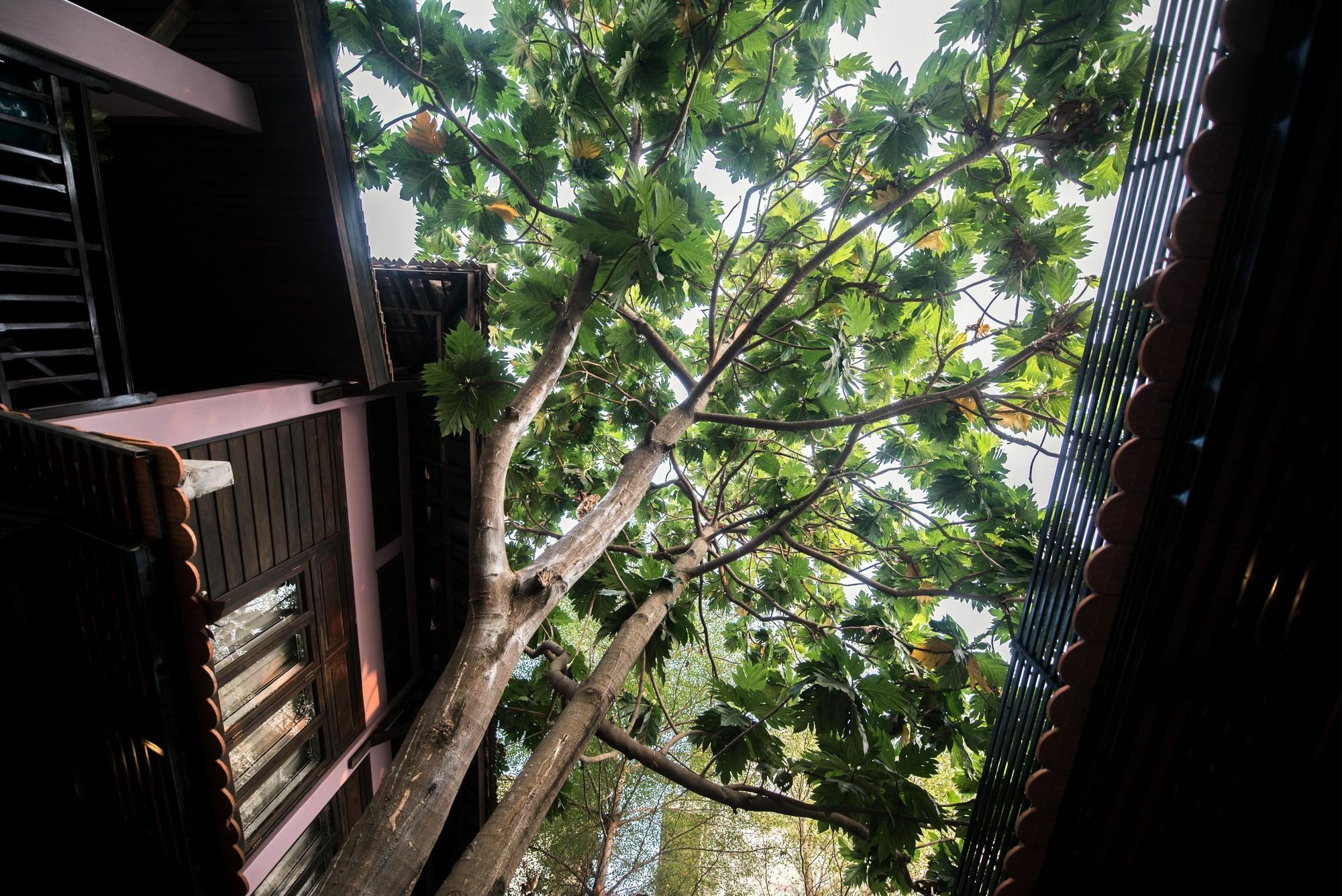 Lavender Angkor Boutique 4*