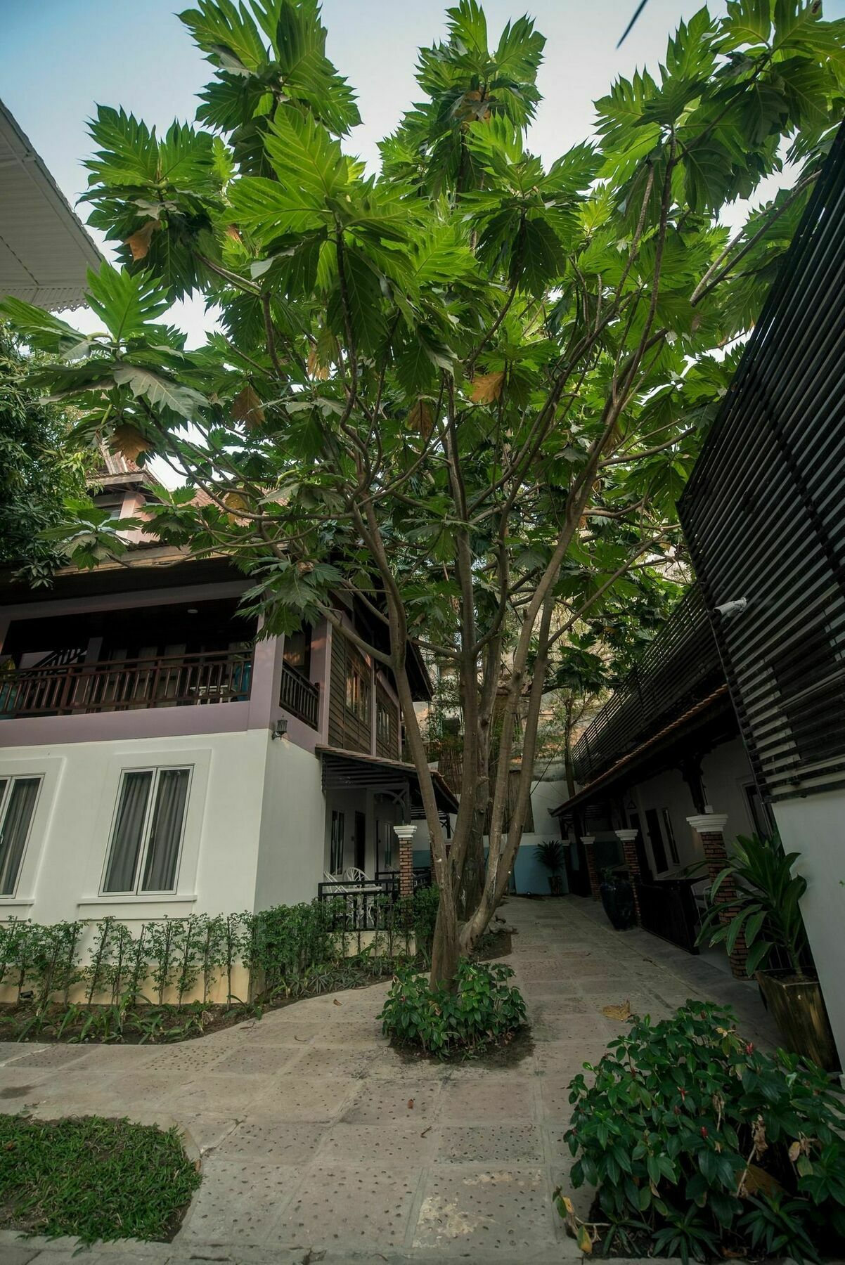 Lavender Angkor Boutique